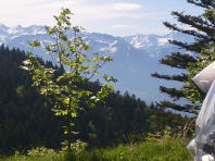 Blick auf den westlichen Rand der Alpen