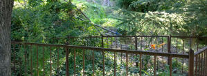 der hauseigene Friedhof