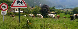 Idylle oberhalb des Lac du Bourget
